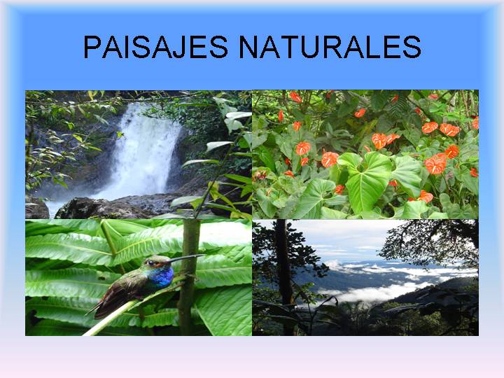 paisajes naturales de colombia. paisajes naturales de colombia